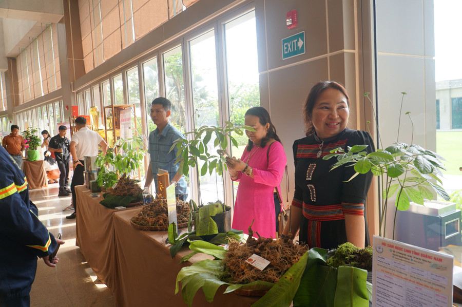 Phiên chợ sâm Ngọc Linh. (Ảnh: Q.Phú)