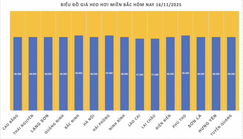 Giá heo hơi hôm nay 16/11/2025: Tạm chững phiên cuối tuần - 1