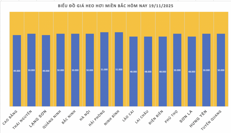 Giá heo hơi hôm nay 19/11/2025: Đồng loạt tăng - 1