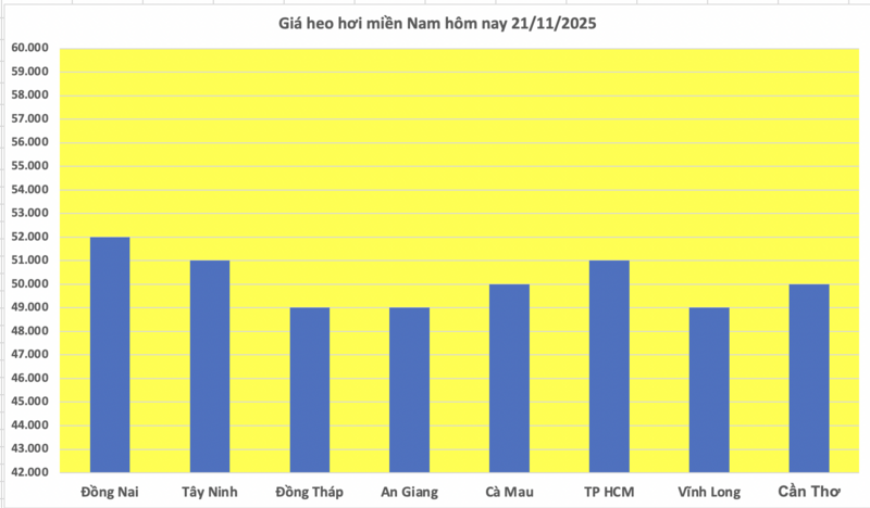 Giá heo hơi hôm nay 21/11/2025: Tăng mạnh, miền Bắc lập đỉnh - 3