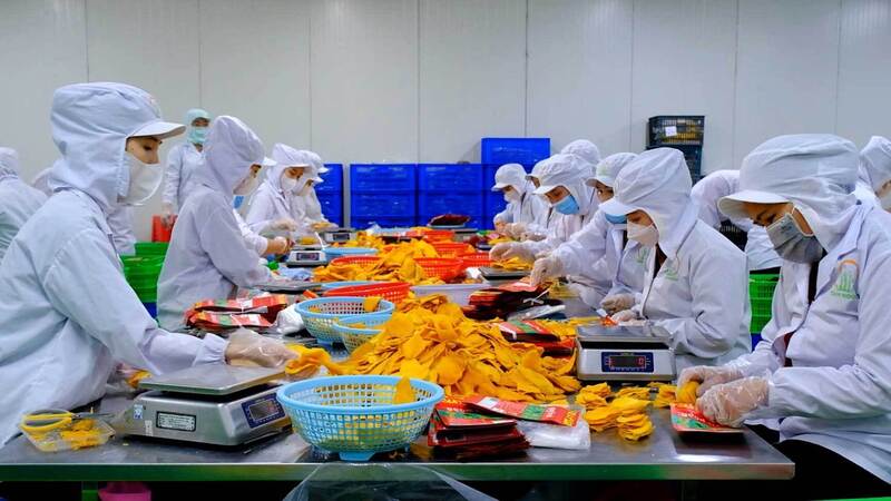 Cơ cấu xuất nhập khẩu hàng hóa giữa hai nước Việt Nam - Israel mang tính bổ trợ, không cạnh tranh nhau. Ảnh: Nguyễn Hằng