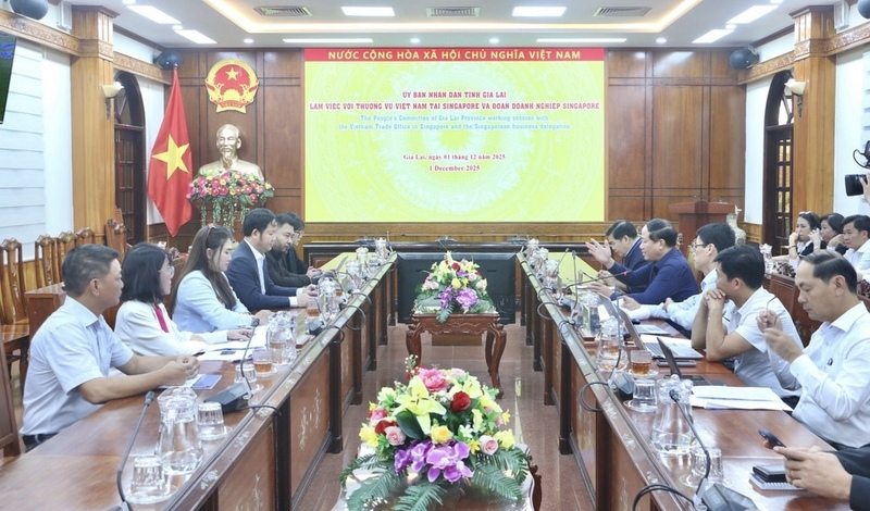 UBND tỉnh Gia Lai làm việc với Thương vụ Việt Nam tại Singapore và các doanh nghiệp Singapore.