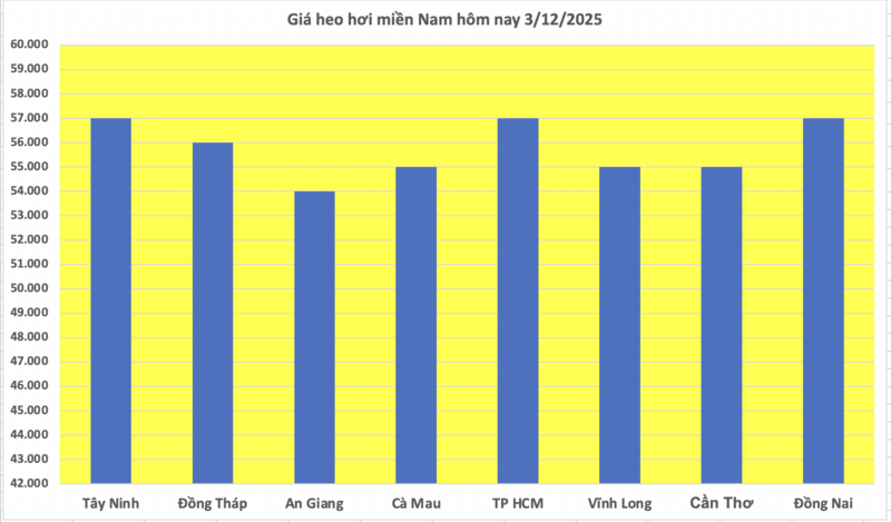 Giá heo hơi hôm nay 3/12/2025: Tăng mạnh đến 4.000 đồng/kg - 3