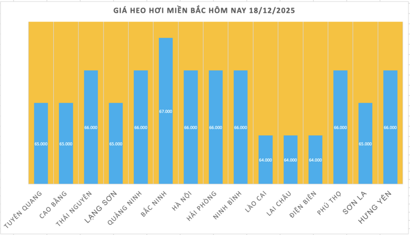Giá heo hơi hôm nay 18/12/2025: Lập đỉnh mới - 67.000 đồng/kg - 1
