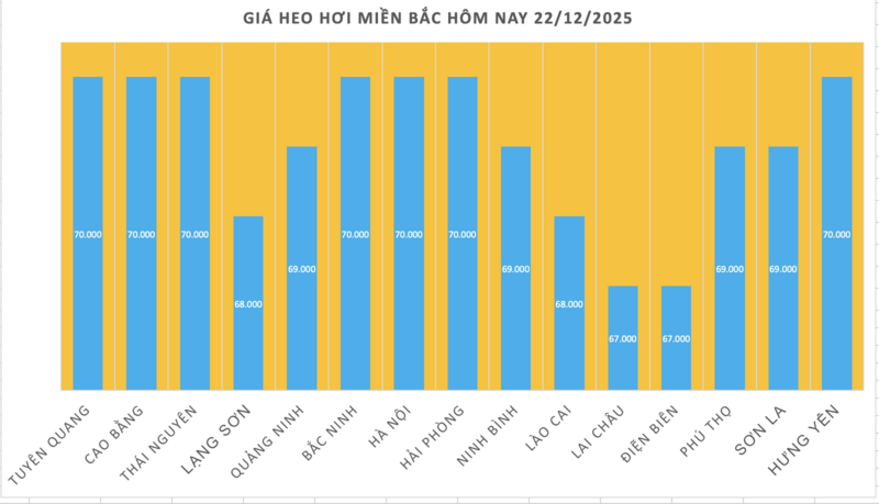 Giá heo hơi hôm nay 22/12/2025: Tiếp đà tăng, đạt đỉnh mới - 1