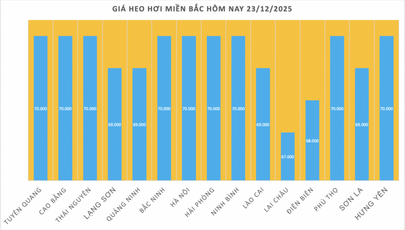 Giá heo hơi hôm nay 23/12/2025: Miền Bắc tiếp đà tăng - 1