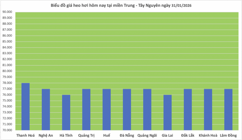 Giá heo hơi hôm nay 31/1/2026: Giảm đồng loạt tại miền Bắc - 2