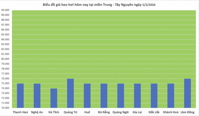 Giá heo hơi hôm nay 5/2/2026: Giảm diện rộng - 2