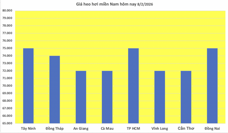 Giá heo hơi hôm nay 8/2/2026: Tạm chững lại - 3