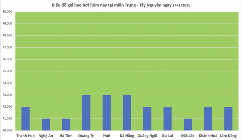 Giá heo hơi hôm nay 14/2/2026: Đi ngang trên toàn quốc - 2