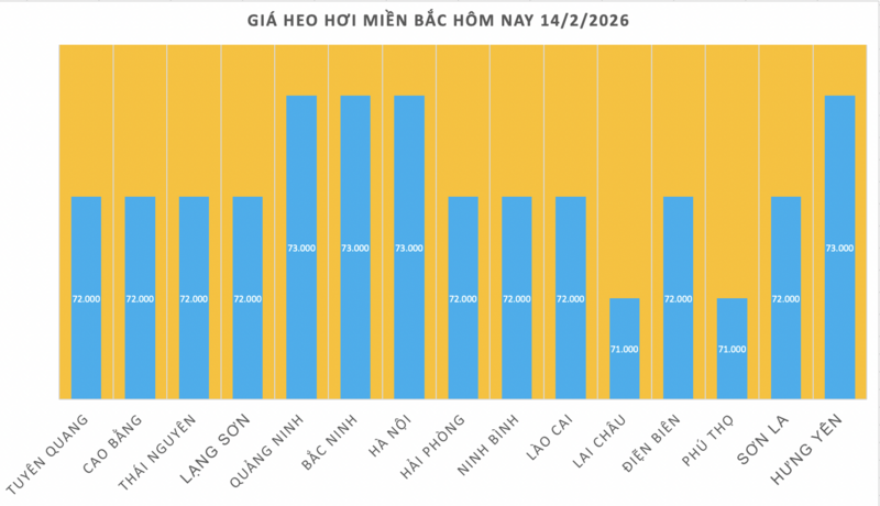 Giá heo hơi hôm nay 14/2/2026: Đi ngang trên toàn quốc - 1