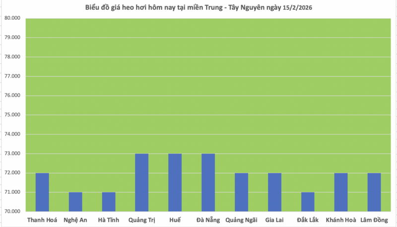 Giá heo hơi hôm nay 15/2/2026: Tiếp tục đi ngang - 2
