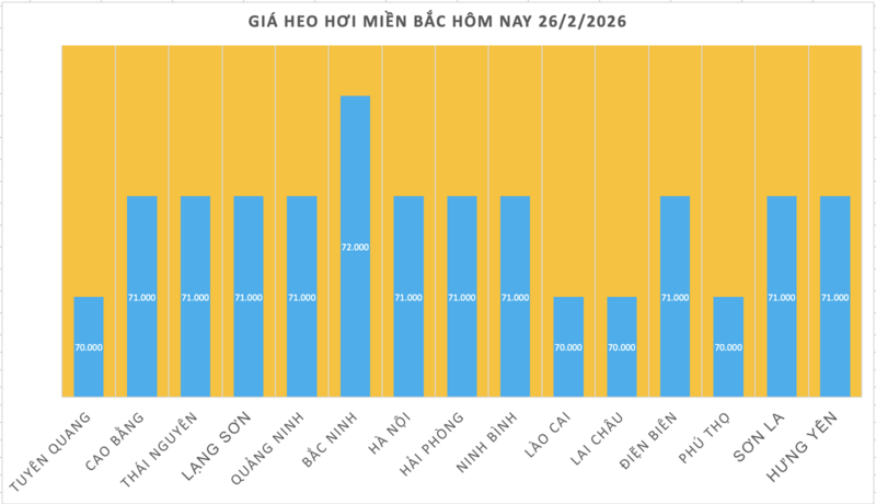 Giá heo hơi hôm nay 26/2/2026: Giảm đồng loạt tại miền Bắc, miền Trung - 1