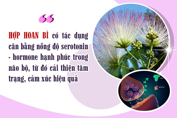 Suy nhược thần kinh do làm quá nhiều việc một lúc ảnh 4 Suy nhược thần kinh do làm quá nhiều việc một lúc ảnh 4