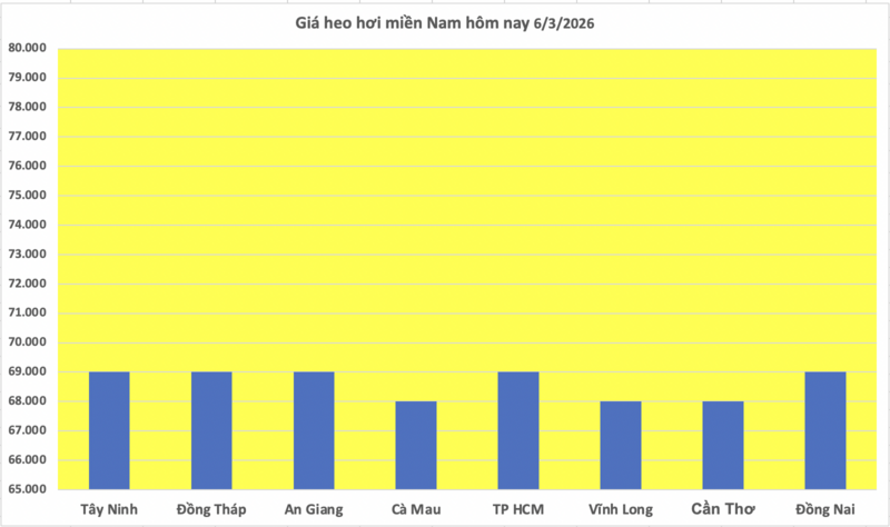 Giá heo hơi hôm nay 6/3/2026: Tiếp tục giảm nhiều nơi - 3