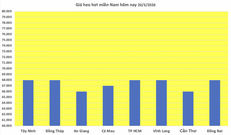 Giá heo hơi hôm nay 20/3/2026: Duy trì đà tăng mạnh - 3