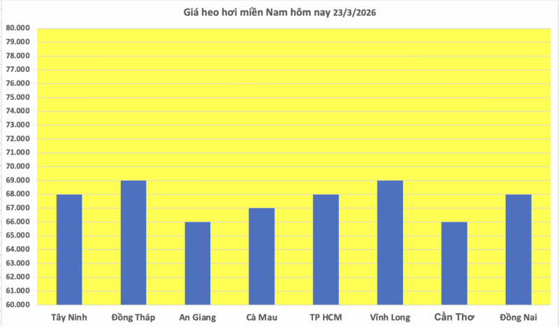 Giá heo hơi hôm nay 23/3/2026: Biến động trái chiều - 3