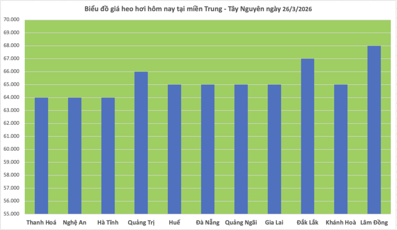 Giá heo hơi hôm nay 26/3: Đi ngang, cao nhất đạt 69.000 đồng/kg - 2