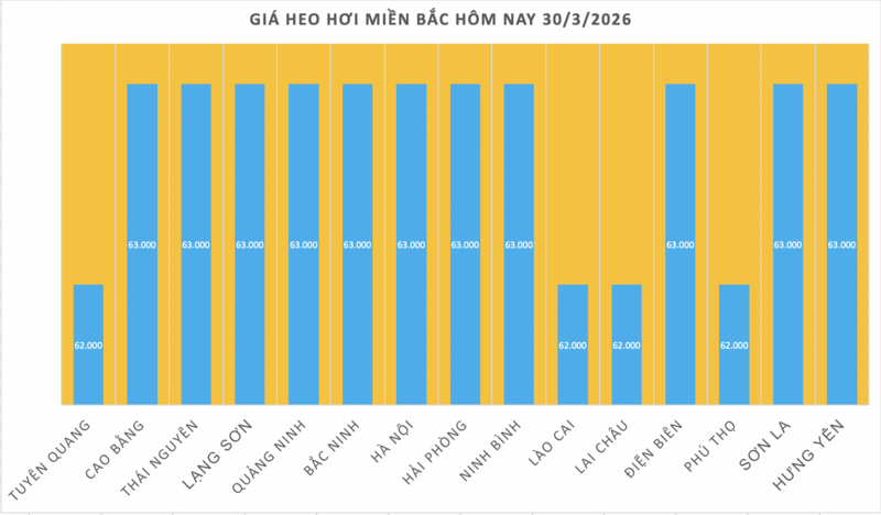 Giá heo hơi hôm nay 30/3/2026: Tiếp tục giảm nhiều nơi - 1