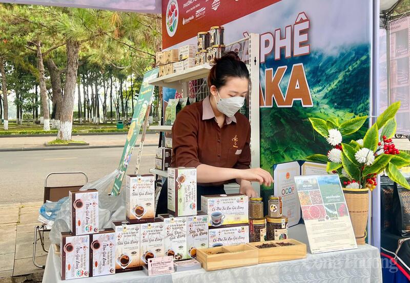 Gia Lai phát động Ngày Sách và Văn hóa đọc Việt Nam lần thứ V  - 10