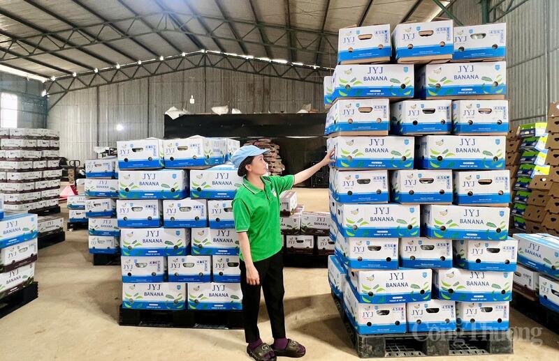 Gia Lai đồng hành với sự phát triển dài hạn của doanh nghiệp.