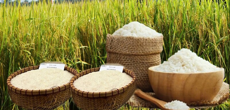 Giá lúa gạo hôm nay ngày 1/5: Thị trường trầm lắng, Ảnh: Thanh Minh.