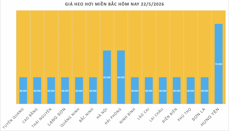 Giá heo hơi hôm nay 22/5/2026: Tăng duy nhất tại 1 địa phương - 1