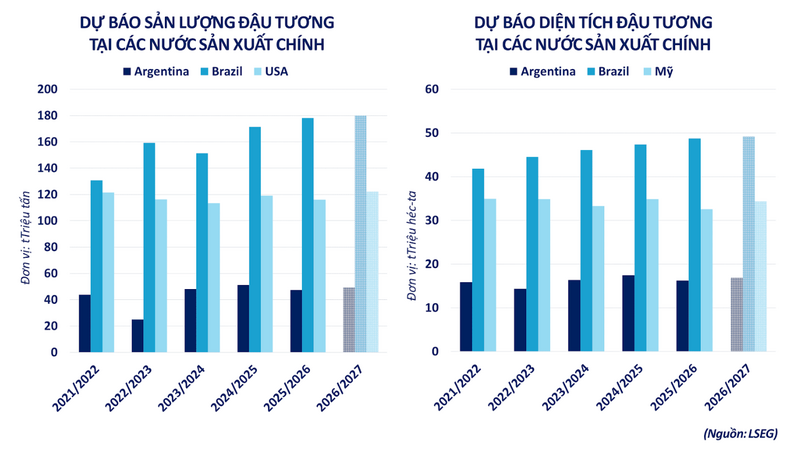 Dự báo sản lượng/diện tích đậu tương tại các nước sản xuất chính. Nguồn: MXV