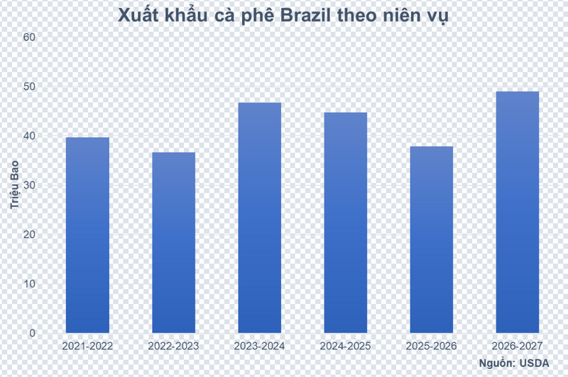 Xuất khẩu cà phê Brazil theo niên vụ. Nguồn: MXV