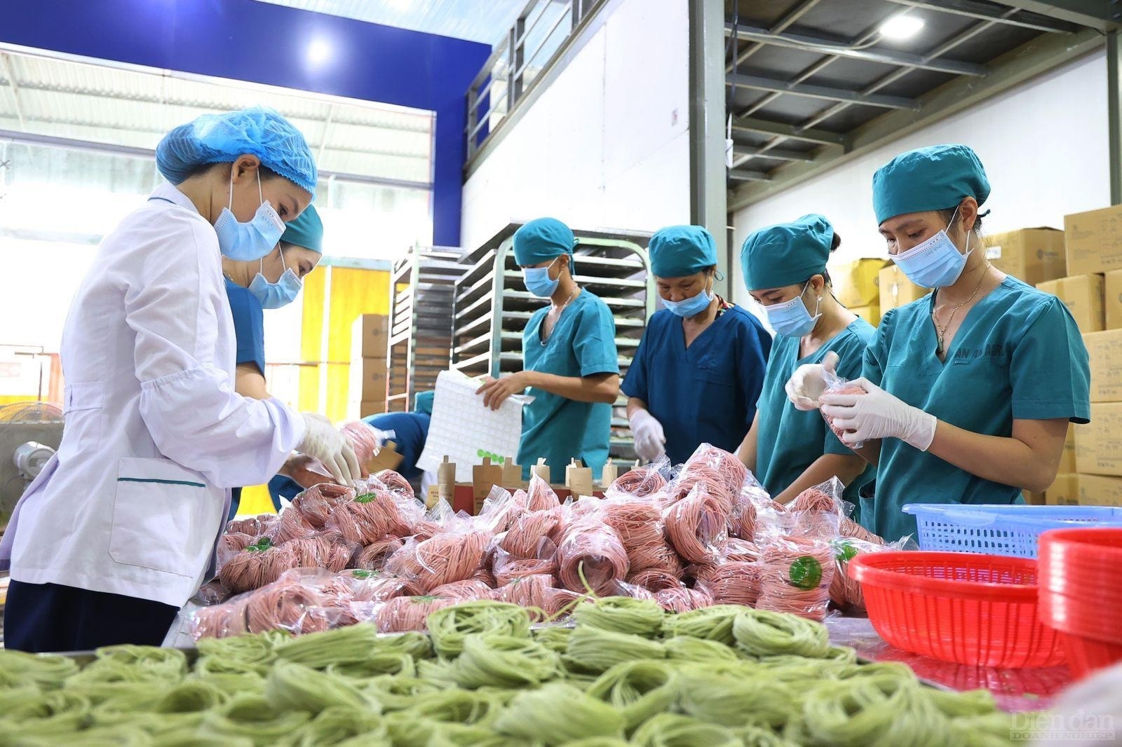 Nghệ An bứt phá xuất khẩu, định hình trung tâm sản xuất mới Bắc Trung Bộ Nghệ An bứt phá xuất khẩu, định hình trung tâm sản xuất mới Bắc Trung Bộ
