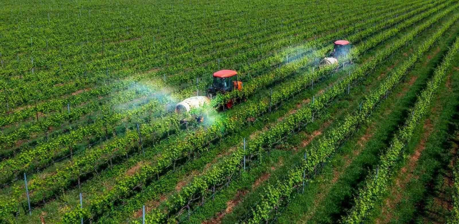 Giảm phát thải để nâng cao giá trị và sức cạnh tranh của nông sản Việt Giảm phát thải để nâng cao giá trị và sức cạnh tranh của nông sản Việt