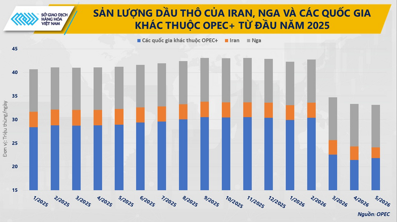Sản lượng dầu thô của Nga, Iran và các quốc gia khác thuộc OPEC+ từ đầu năm 2025. Nguồn: MXV