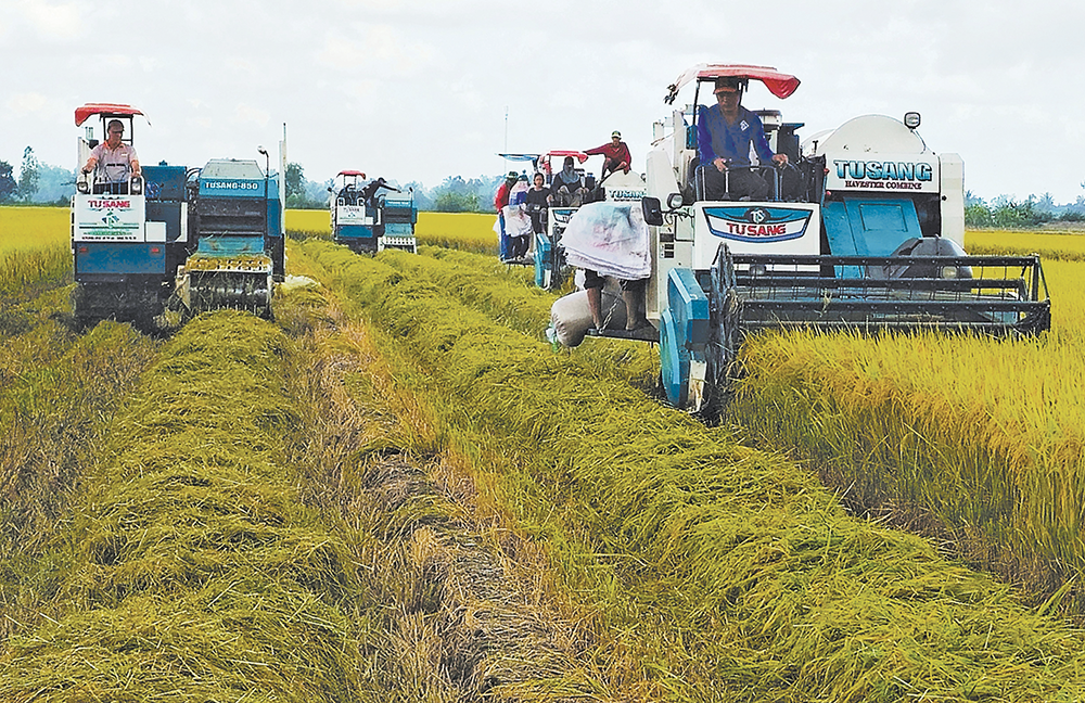 Nông nghiệp phát thải thấp mở đường nâng giá trị nông sản Việt