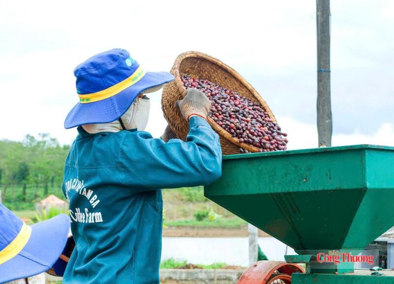 Công nghiệp là ngành thu hút vốn mạnh nhất với 81 dự án, tổng vốn đầu tư hơn 139.629 tỷ đồng, chiếm khoảng 85% tổng vốn đăng ký toàn tỉnh. Ảnh: Hiền Mai