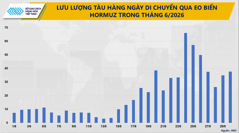 Lưu lượng tàu hằng ngày di chuyển qua eo biển Hormuz trong tháng 6. Nguồn: MXV