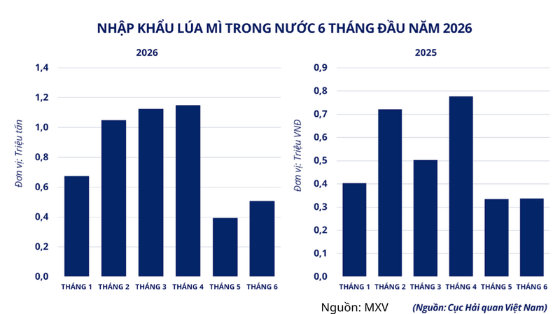 Nhập khẩu lúa mì trong nước 6 tháng đầu năm 2026