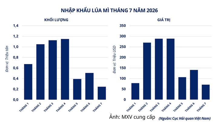 Nhập khẩu lúa mì của Việt Nam tháng 7/2026