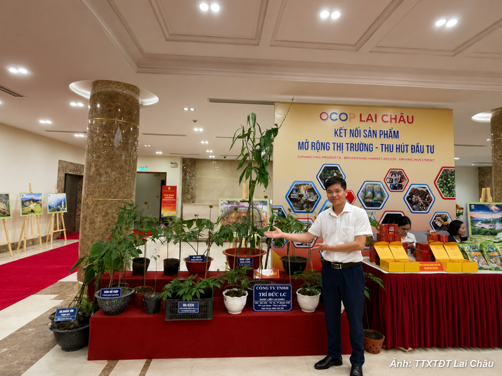 Hội chợ thương mại quốc tế Lai Châu năm 2026 là cơ hội để tỉnh Lai Châu và các địa phương giới thiệu.