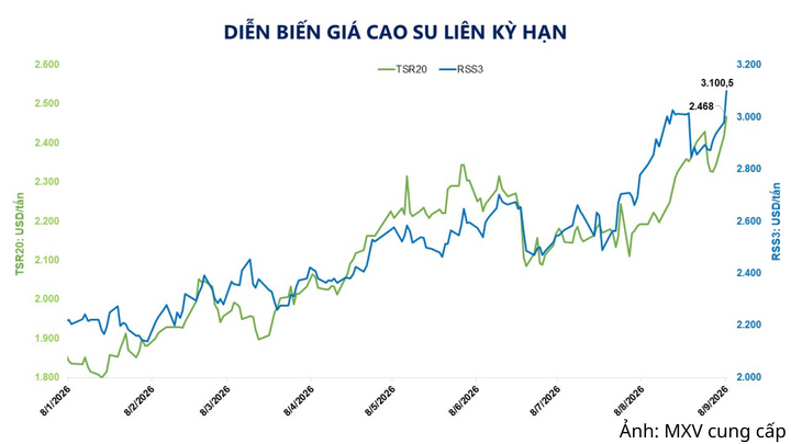 Diễn biến giá cao su liên kỳ hạn.