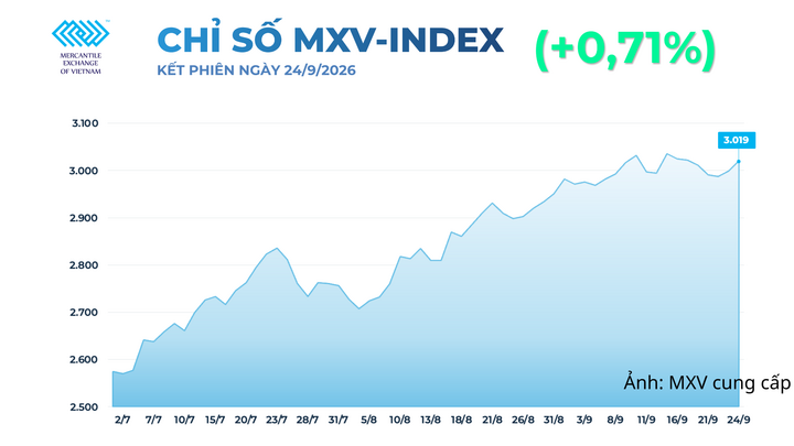 Chỉ số MXV-Index.