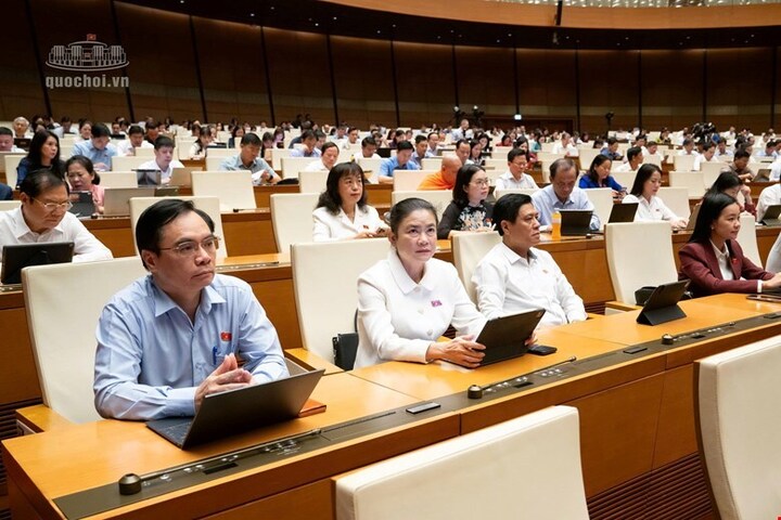 Các đại biểu Quốc hội dự kỳ họp.