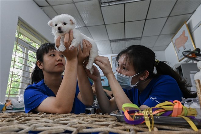 Bật mí ngành học cơ hội việc làm lớn, rộng mở cánh cửa khởi nghiệp